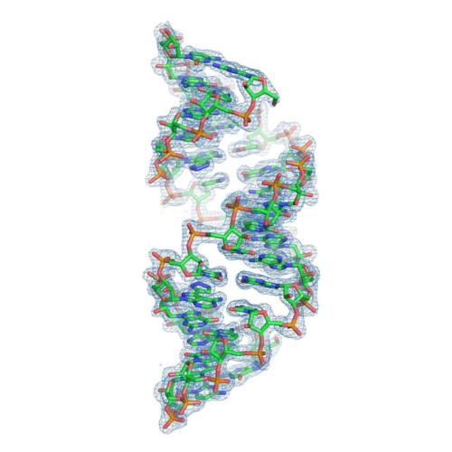 RNA Duplex w/ click-modified base