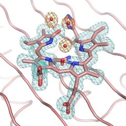 PcyA D105N mutant radical structure
